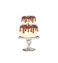 Watercolor layered wedding cream cake with floral decorations on a cake stand. Birthday delicious cake. Cake clipart