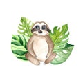 Watercolor lazy sloth sitting with leaves. Children\'s watercolor print with sloth