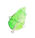 Watercolor leaf saving energy