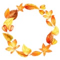 Watercolor leaves round frame.