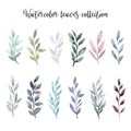 Watercolor leaves set. Watercolour floral illustration set. Green leaves, green branches collection, eucalyptus, olive. Royalty Free Stock Photo