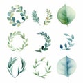 Watercolor Leaves: Unique Framing And Graceful Sculptures