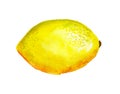 Watercolor lemon