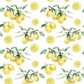 Watercolor lemon branch and slice seamless pattern. Hand painted lemon fruit on branch with leaves and slices isolated