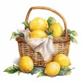 Watercolor Lemon Bundle In Picnic Basket Illustration