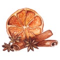 Watercolor lemon citrus anise cinnamon