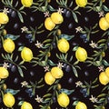 Watercolor lemon and olive branches seamless pattern Royalty Free Stock Photo