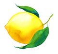 Watercolor lemon