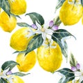 Watercolor lemon pattern