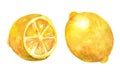 Watercolor lemon. Ripe yellow lemon cut in half