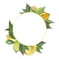 Watercolor lemon round frame with lime, leaves, lemons. Hand painted fresh yellow lemon fruits, isolated on white Royalty Free Stock Photo