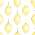 Watercolor lemon seamless pattern. hand drawn on white background. Botanical illustration yellow citrus fruits, flowers, green Royalty Free Stock Photo