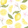 Watercolor lemon seamless pattern. hand drawn on white background. Botanical illustration yellow citrus fruits, flowers, green Royalty Free Stock Photo