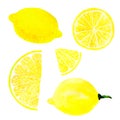 Watercolor lemon set juicy fruit and lemon slice isolated on white background. Hand painted food illustration Design