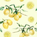 Watercolor lemon slice and branch seamless pattern. Hand painted lemon fruit on branch with slice isolated on white