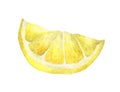 Watercolor lemon slice. Hand drawn illustration, isolated on white background.