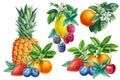 Watercolor lemon, tangerine, pineapple, raspberry, cherry, blackberry and strawberry, sweet fruits and berries