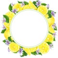 Watercolor lemon wreath. Hand drawn frame with lemons and leaves. Royalty Free Stock Photo