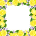 Watercolor lemon wreath. Hand drawn frame with lemons and leaves Royalty Free Stock Photo