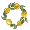 Watercolor lemon wreath round frame border with green leaves and yellow lemons. Hand painted fresh yellow fruits Royalty Free Stock Photo