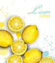 Watercolor lemons card Vector. Juicy fruits poster with paint splash