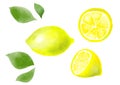 Watercolor lemons hand drawn illustration