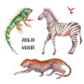 Watercolor exotic animals set Royalty Free Stock Photo