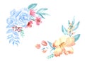 Watercolor light-blue gentle compositions of flowers hand drawn on white background