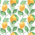 Light Botanical Lemon Seamless Pattern