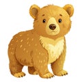 A watercolor light brown CUTE BABY BEAR illustration on white background Royalty Free Stock Photo