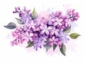 Watercolor lilac bouquet on watercolor background. illustration. Generative AI