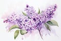 Watercolor Lilac Flowers. Illustration of lilac blossoms with green leaves. Isolated on a white background. Ideal for