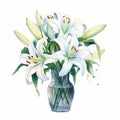 Accurate And Detailed Watercolor Lily Illustration In Vase