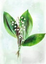 Watercolor lily of the valley