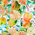 Watercolor Lime, Grapefruit Seamless Pattern, Summer Vivid  Fruits Botanical Texture Royalty Free Stock Photo