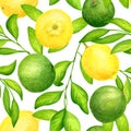 Watercolor lime and lemon with leaves seamless pattern. Hand painted fresh green and yellow citrus fruit illustration isolated on