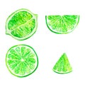 Watercolor lime set juicy fruit and lime slice isolated on white background. Hand painted food illustration Design Royalty Free Stock Photo