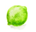 watercolor lime.