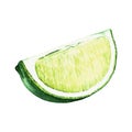 Watercolor lime. Zoom