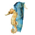 Watercolor seahorse composition. Hand painted underwater animals isolated on white background. Aquatic golden line art