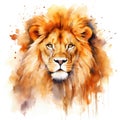 watercolor lion painting Lion King watercolor predator animals wildlife painting Royalty Free Stock Photo