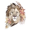 Watercolor lion portrait with flowers. African animlas clipart.