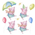 Watercolor Little Cute Pigs Set Royalty Free Stock Photo