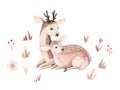 Watercolor little deer baby and mother watercolour bembi cartoon baby nursery. Forest funny young deer illustration