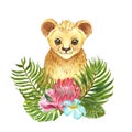 Watercolor little lion with tropical floral bouquet. Cute cartoon lion cub, palm leaves, protea king flower, isolated on white Royalty Free Stock Photo