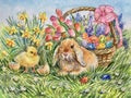 Watercolor little rabbit. Easter bunny and yellow chick. Decorative eggs blue, yellow, red. Horizontal view, copy-space. Templa Royalty Free Stock Photo