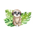 Watercolor little sloth with leaves. Children\'s watercolor print for decoration of postcards