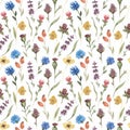 Watercolor little wildflowers seamless pattern. Hand drawn meadow flowers print. Field florals textile printing Royalty Free Stock Photo