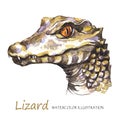 Watercolor Lizard on the white background. Exotic animal. Royalty Free Stock Photo