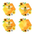 Watercolor logos with honeycombs, honey bees and sunflowers, Watercolor texture Royalty Free Stock Photo